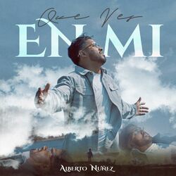 Cover of Que ves en mi?