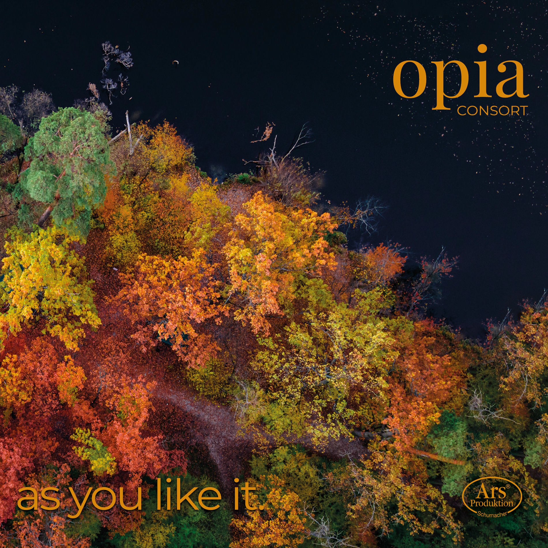 Album cover of as you like it