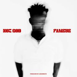 Cover of Not God