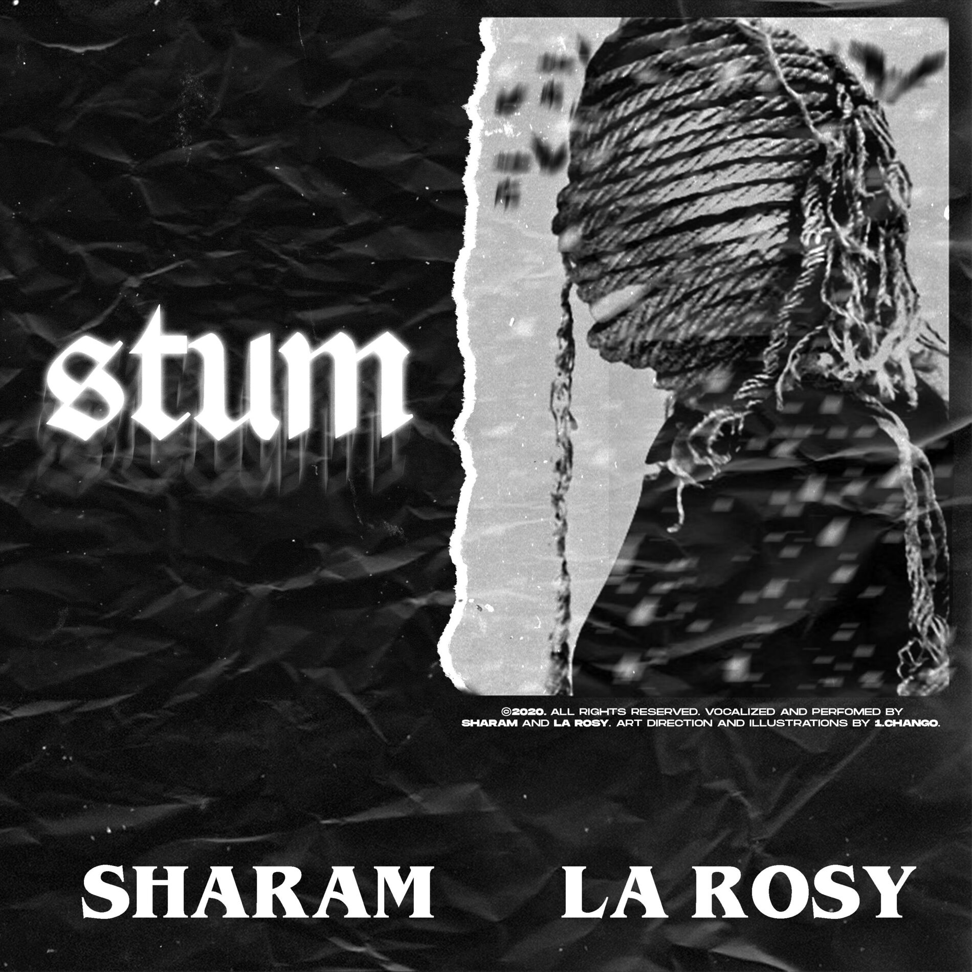 Album cover of STUM