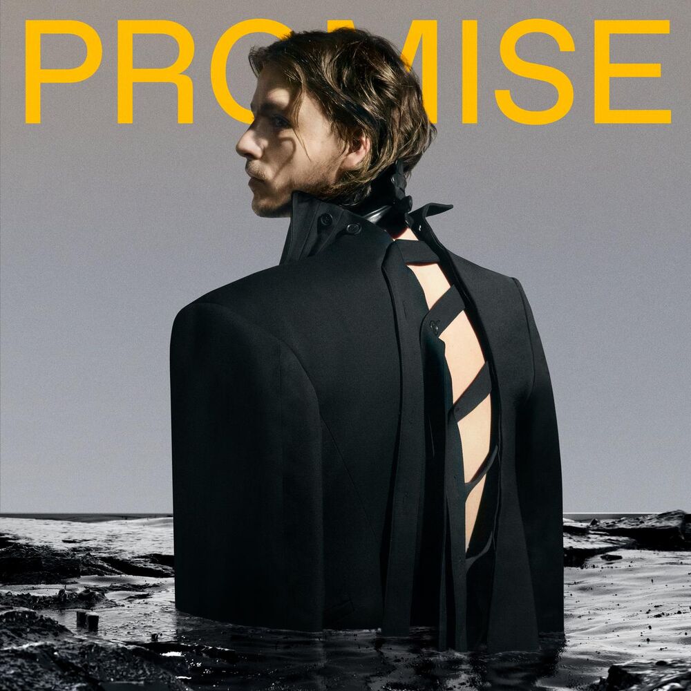 Picture of Promise