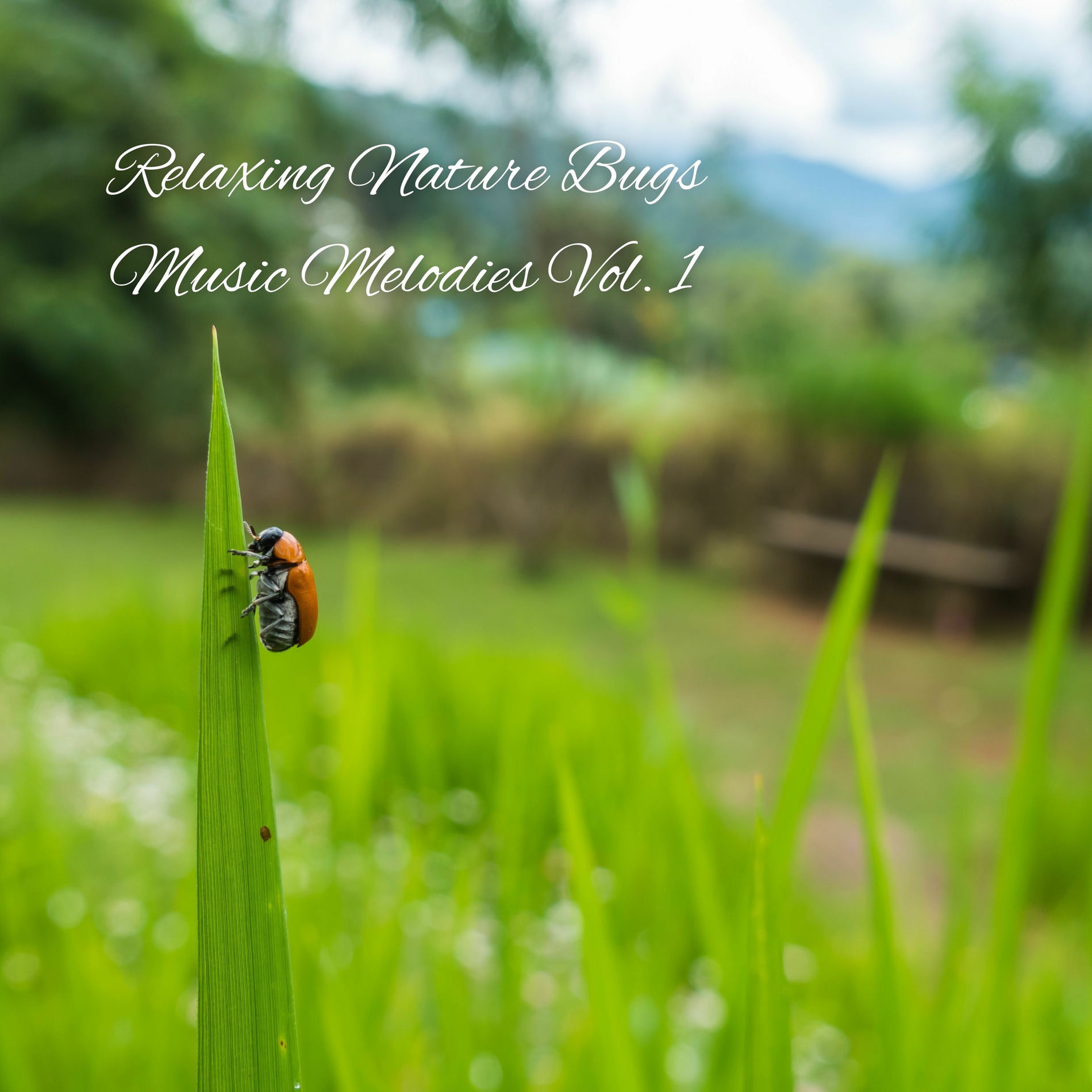 Album cover of Relaxing Nature Bugs Music Melodies Vol. 1