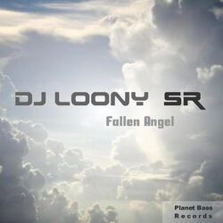 Cover of Fallen Angel