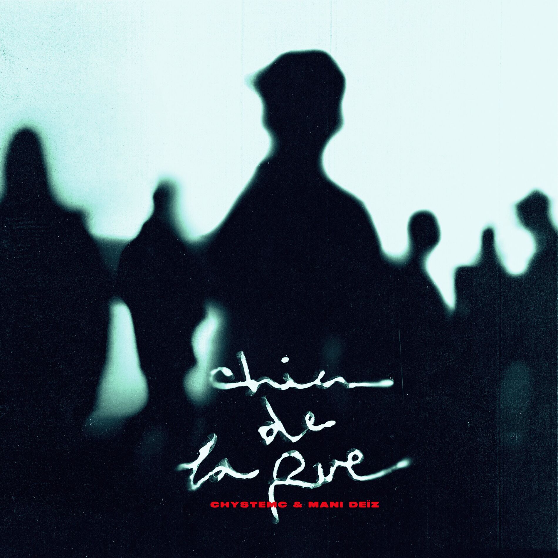 Album cover of BONSÁI