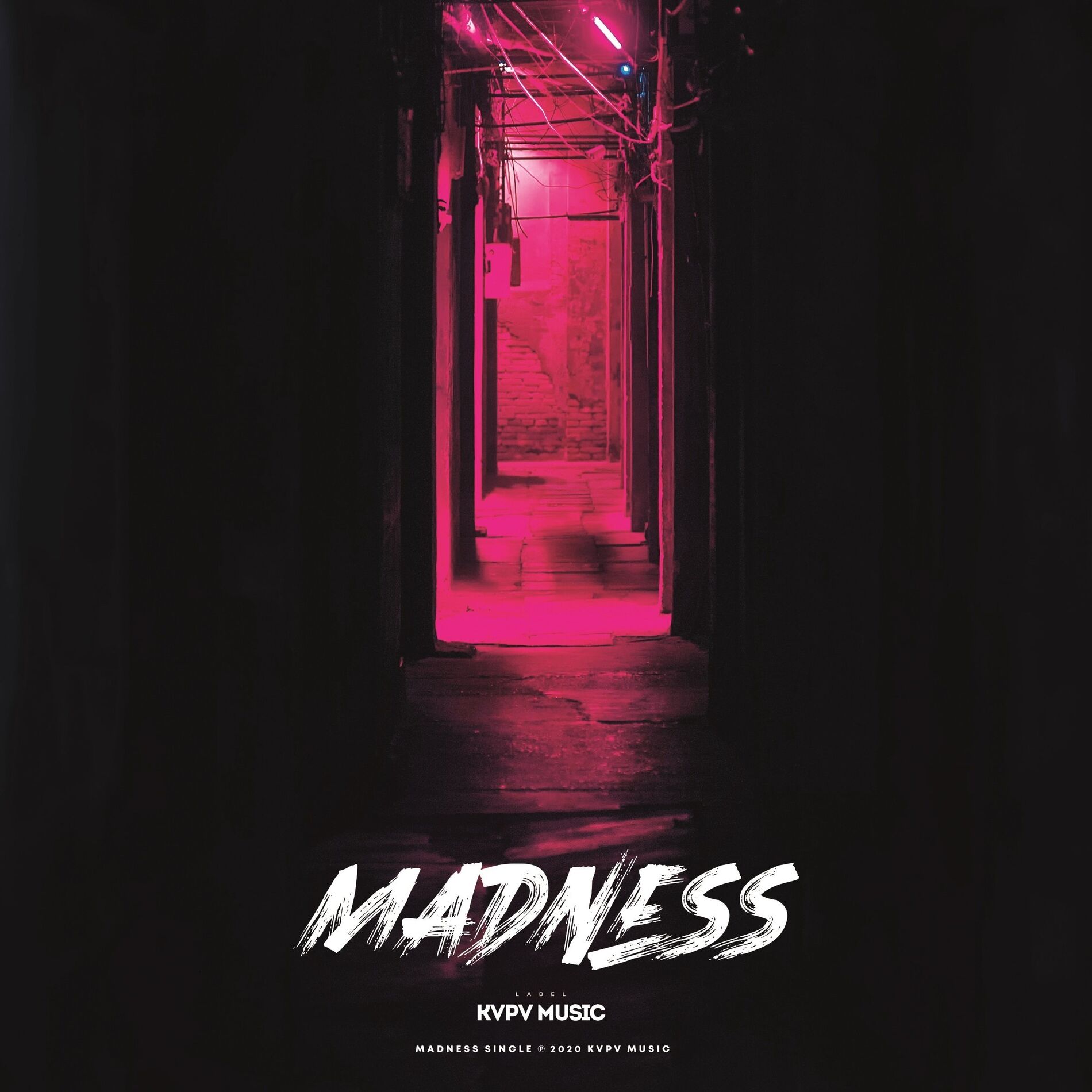 Album cover of Madness (Extended Mix)