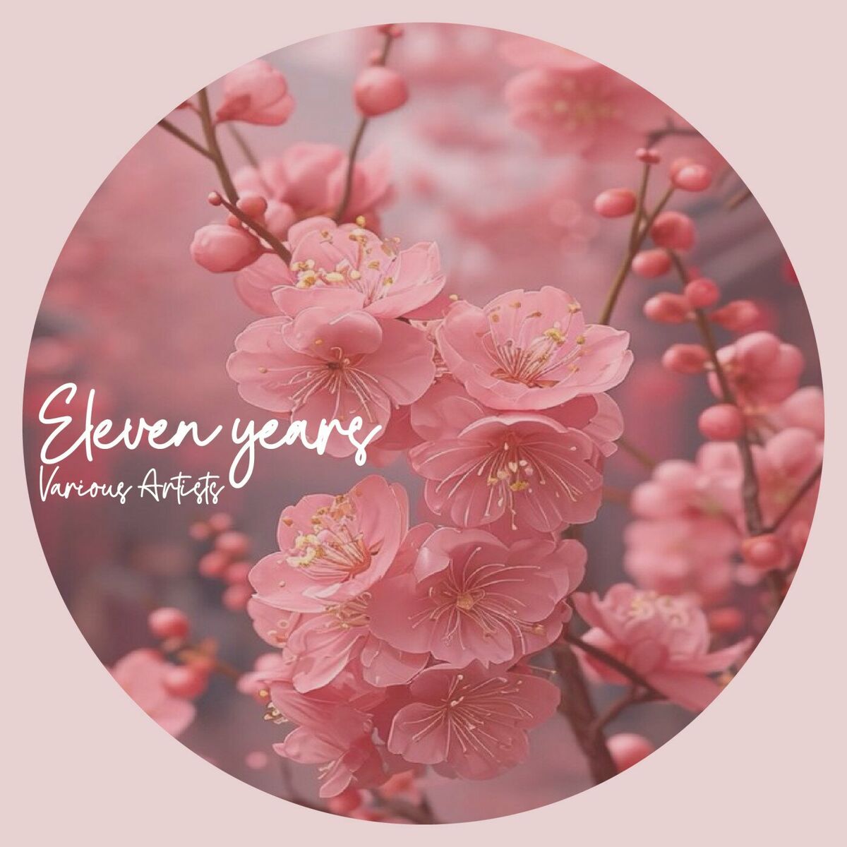 Album cover of Eleven Years