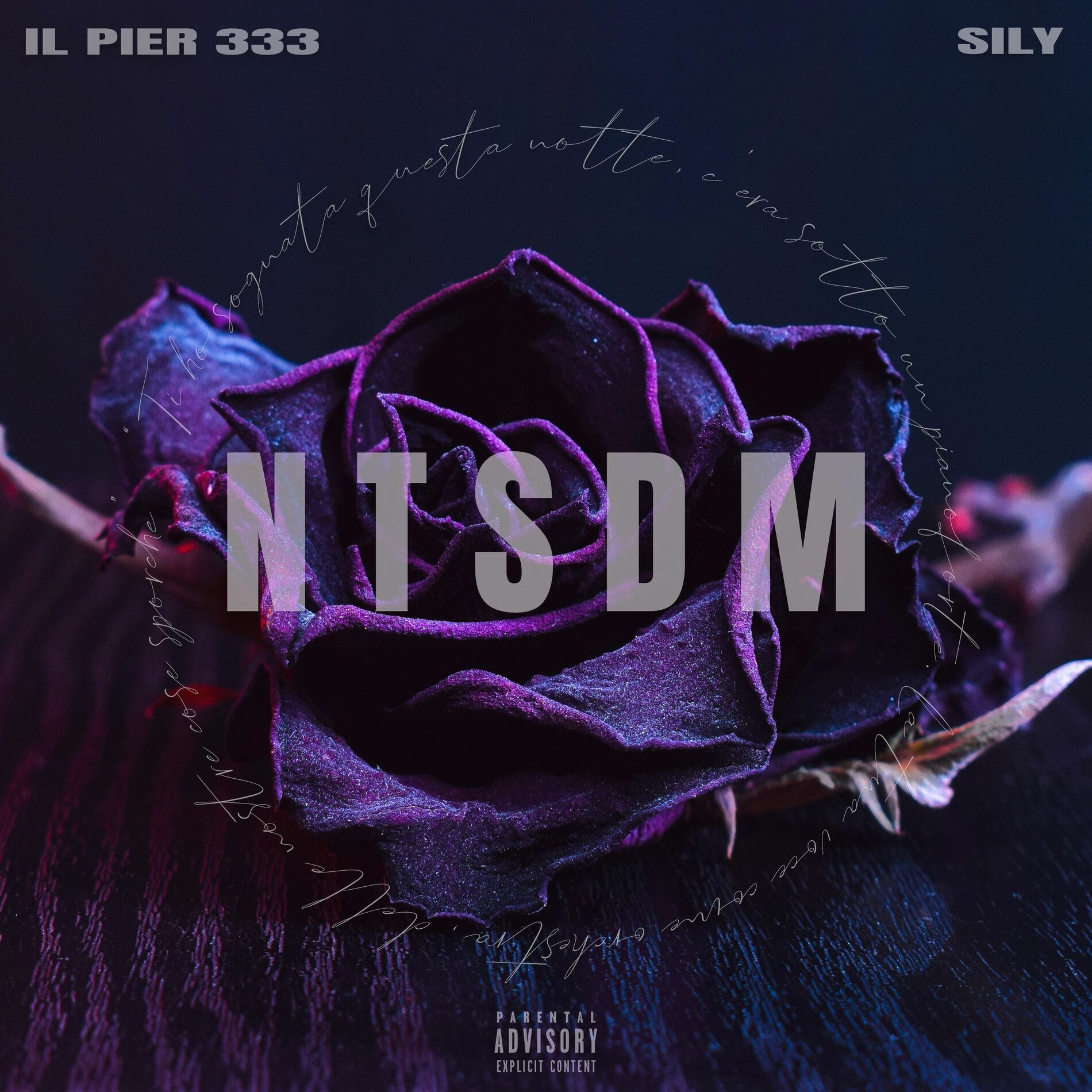 Album cover of NTSDM