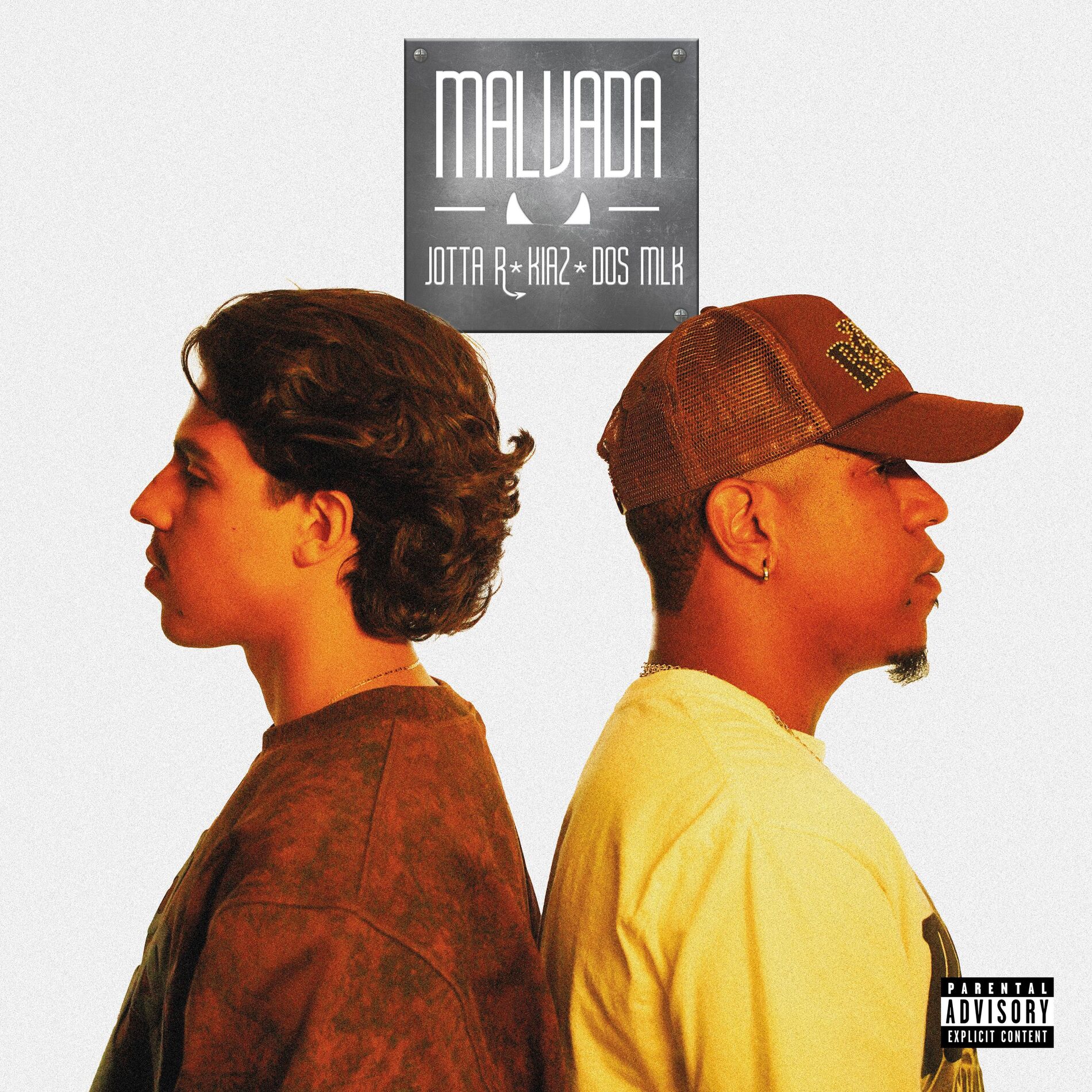 Album cover of Malvada
