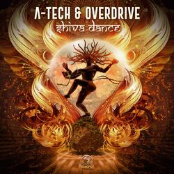 Cover of Shiva Dance
