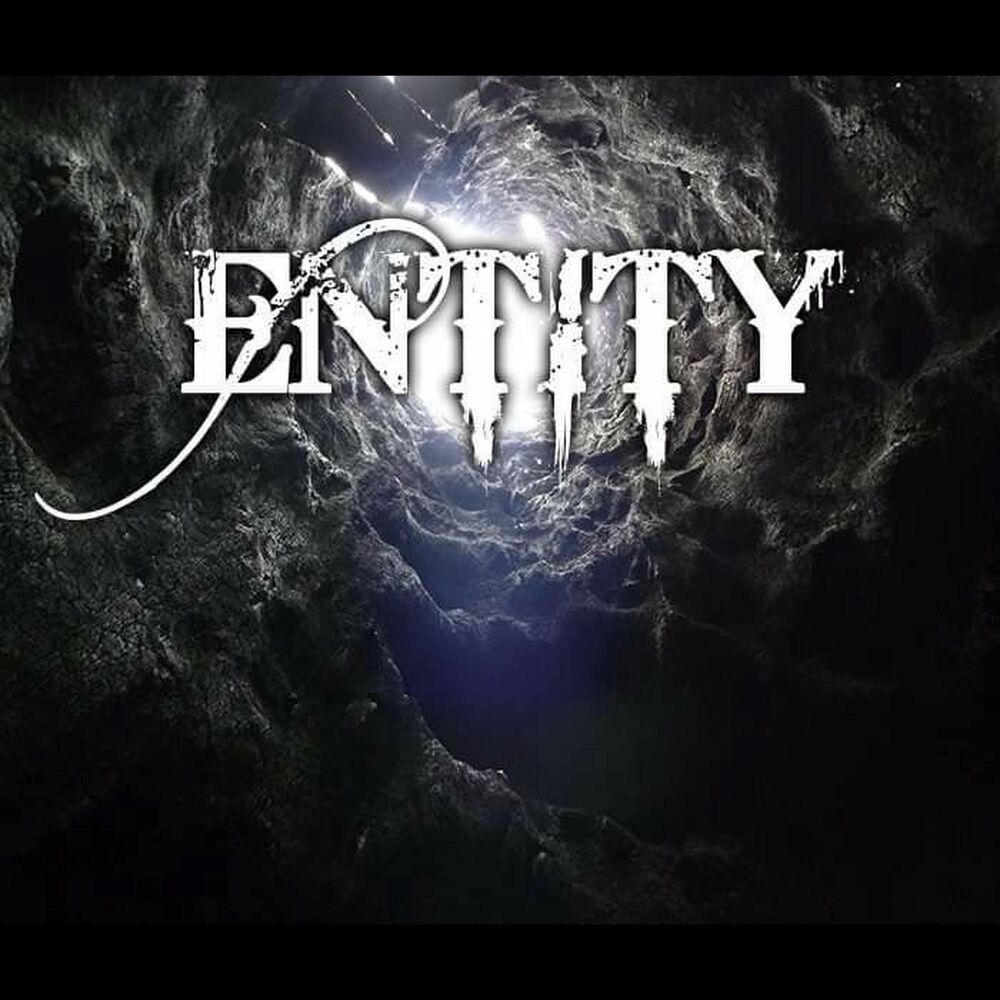 Picture of Entity
