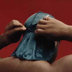 Cover of Still Striving