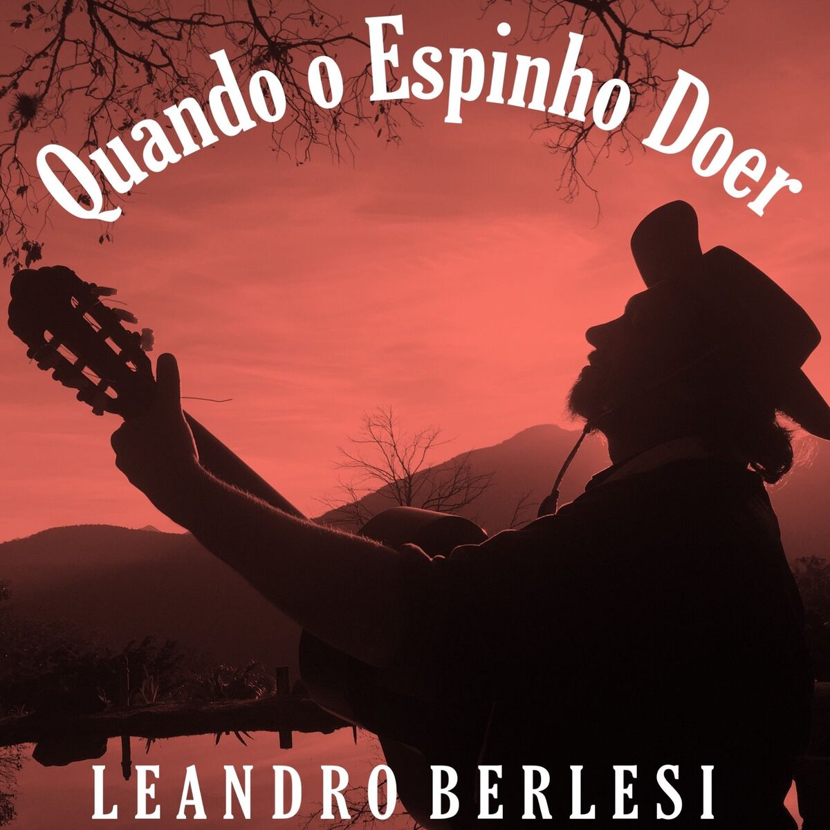Album cover of Quando o Espinho Doer