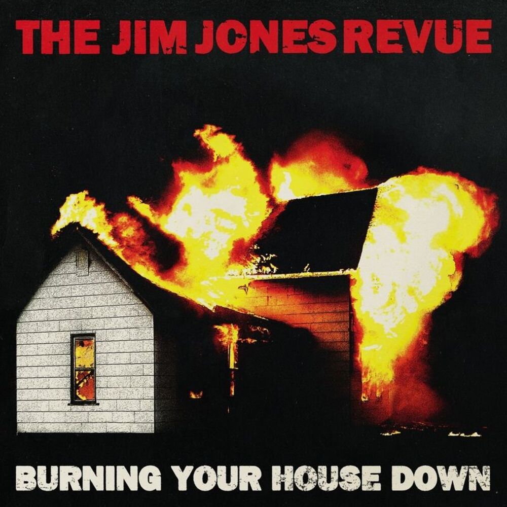 Picture of Burning Your House Down