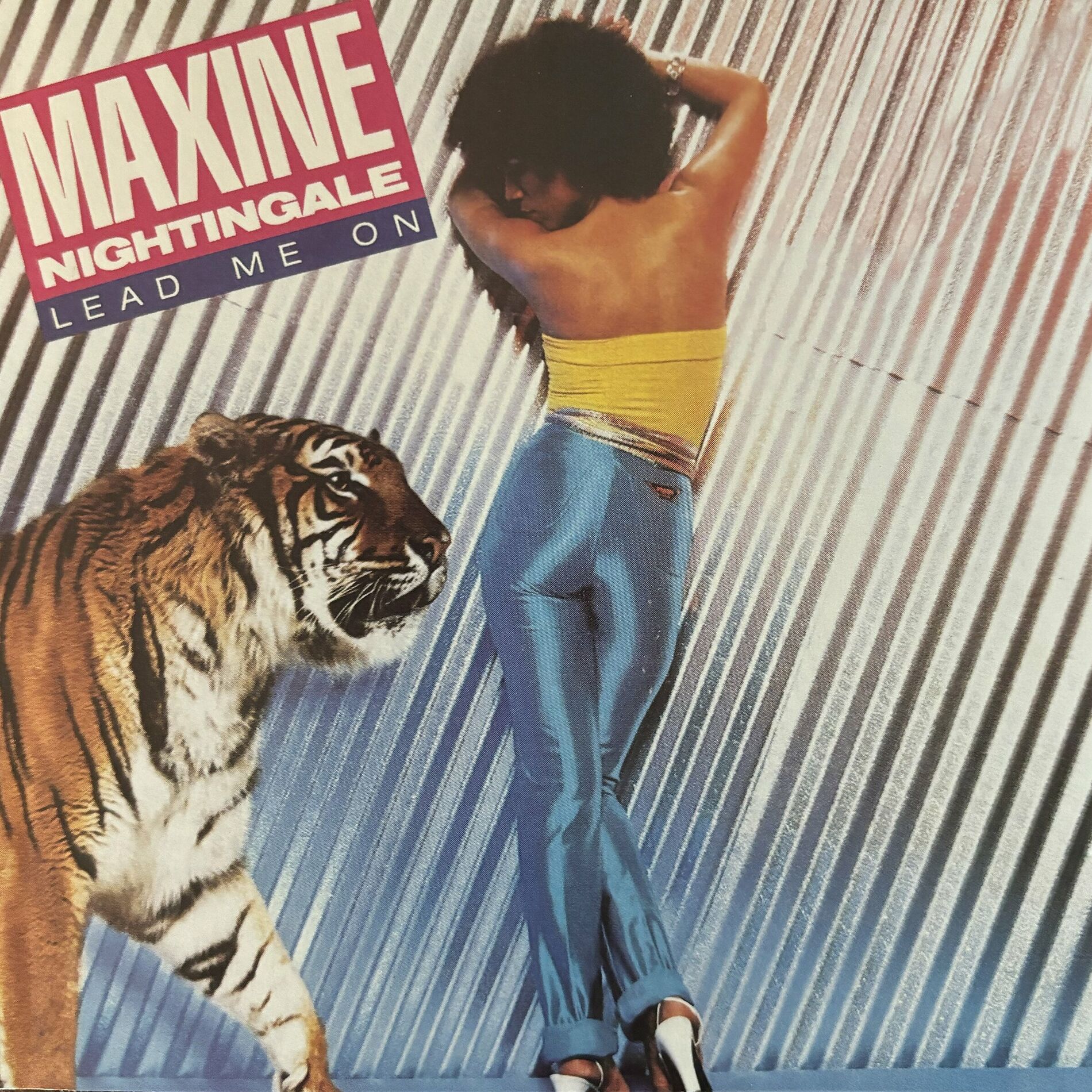 Album cover of Lead Me On