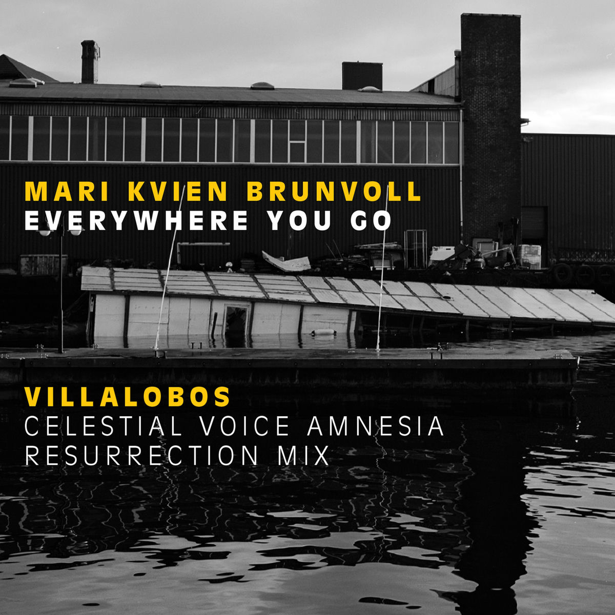 Ricardo Villalobos: albums, songs, concerts | Deezer