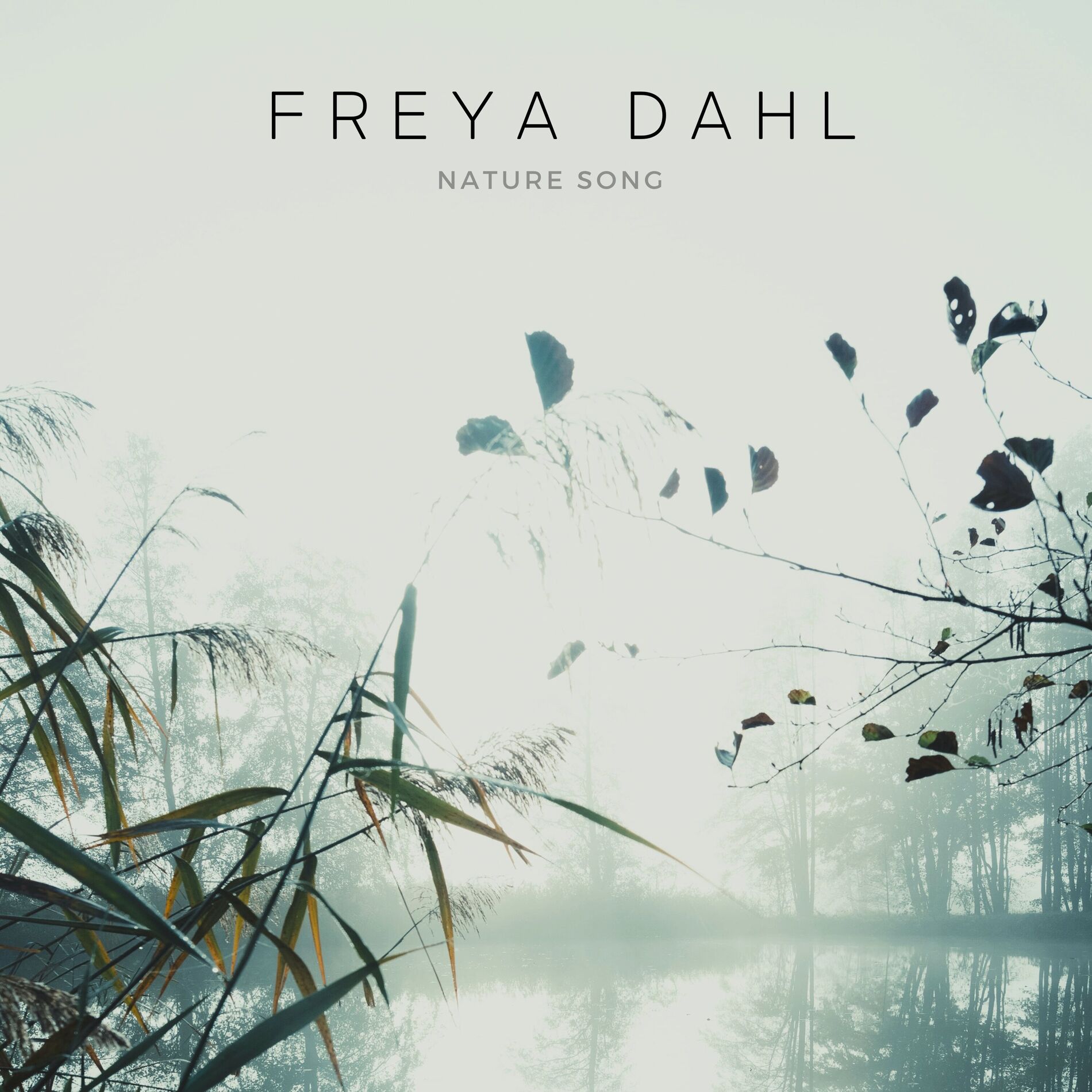 Album cover of Nature Song