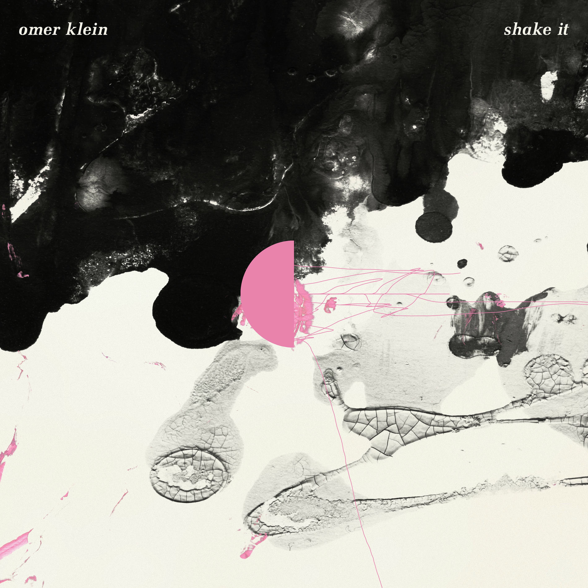 Album cover of Shake It