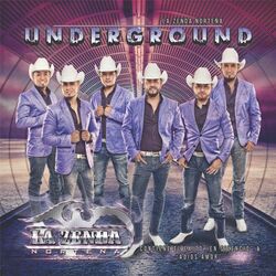 Cover of Underground