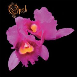 Cover of Orchid