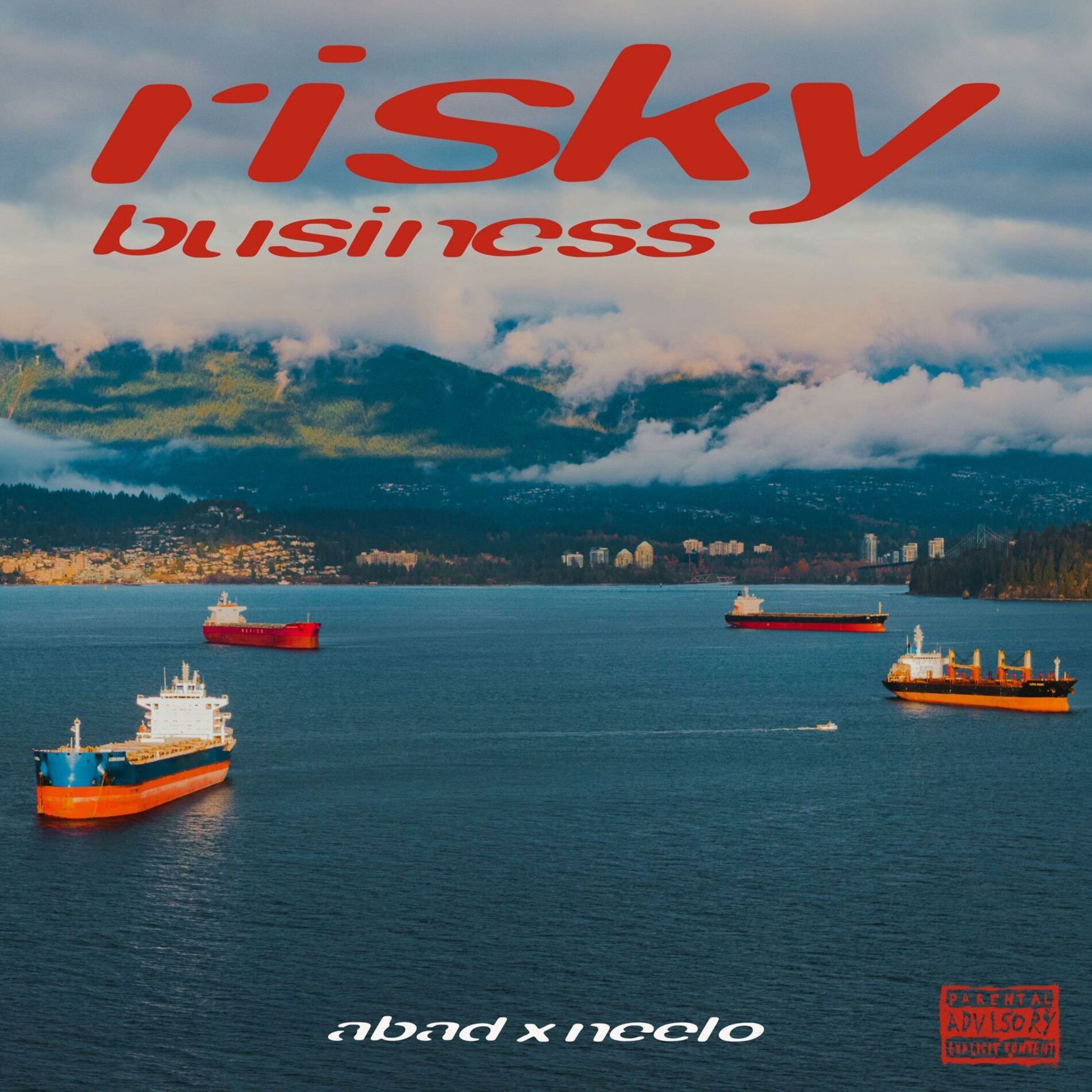 Album cover of Risky Business