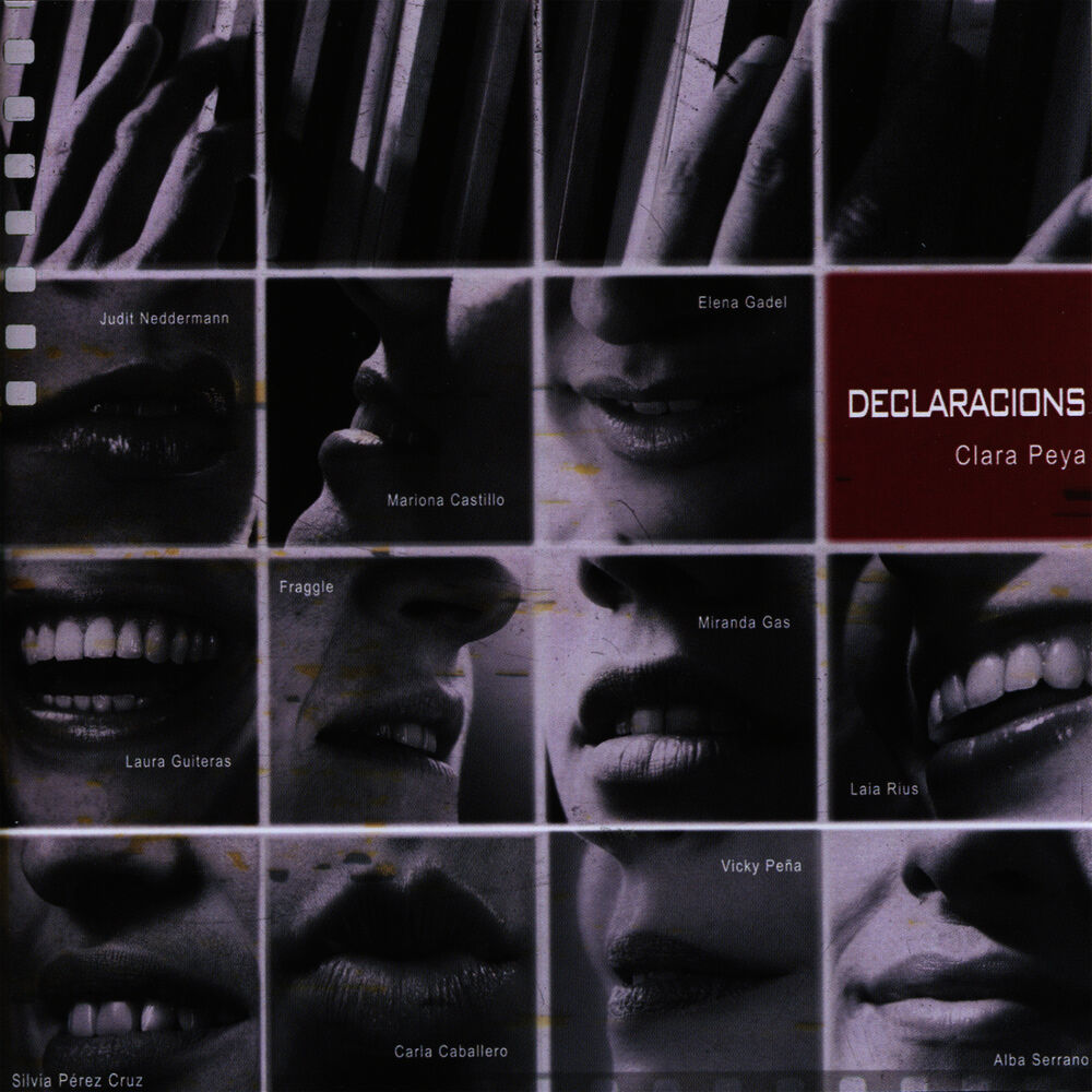 Picture of Declaracions