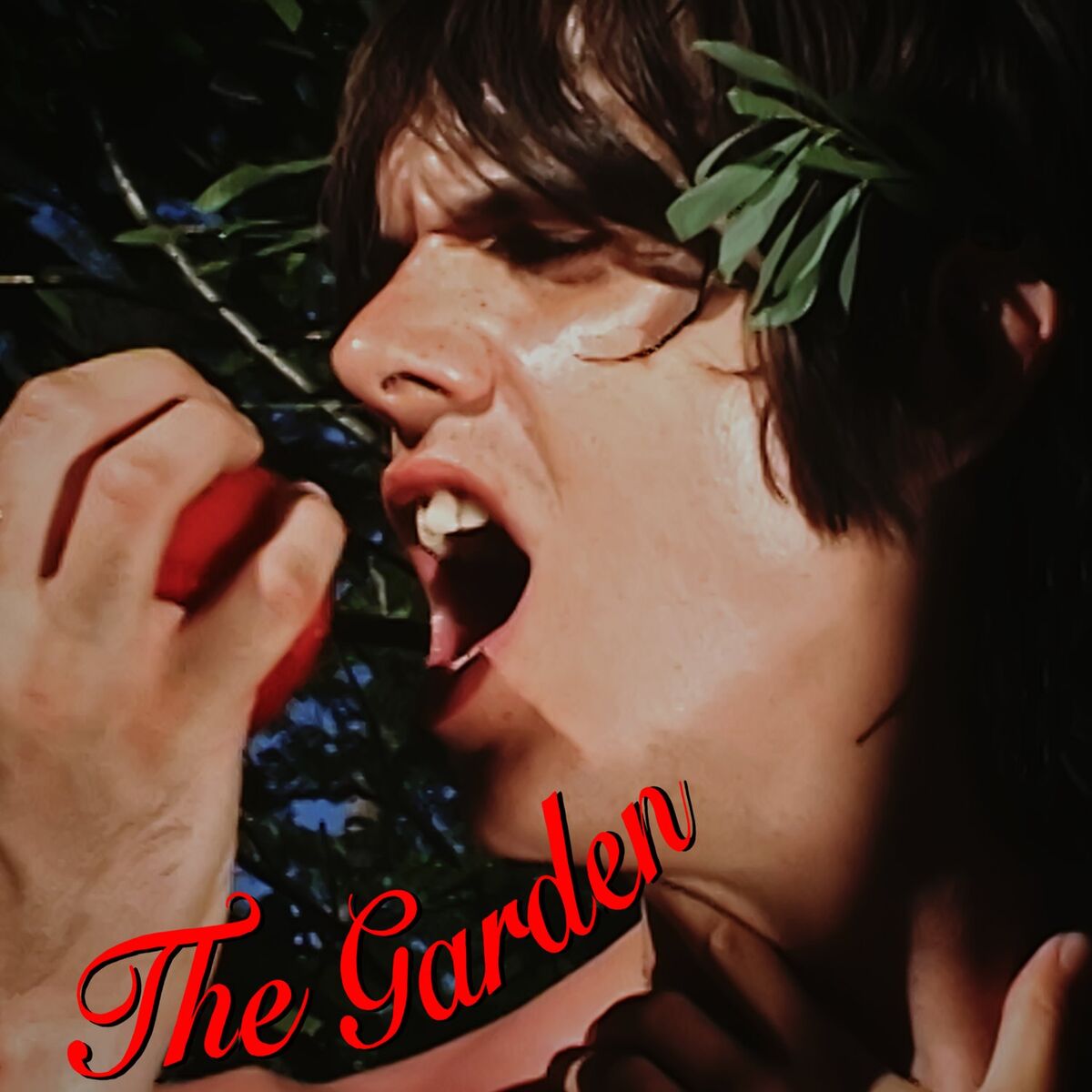 Album cover of The Garden