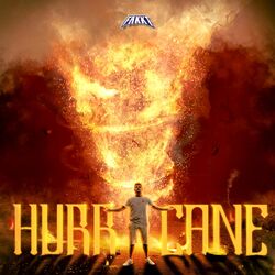 Cover of Hurricane