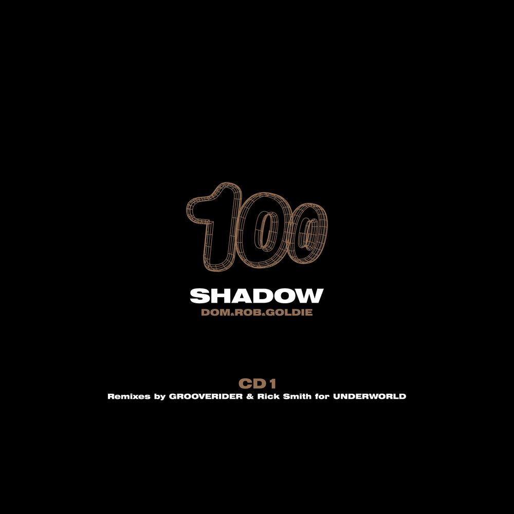 Picture of The Shadow (Process Mix Edit) / The Shadow (Grooverider Jeep Mix Edit) / The Shadow / The Shadow (Bing Here Mix) / The Shadow (Gro