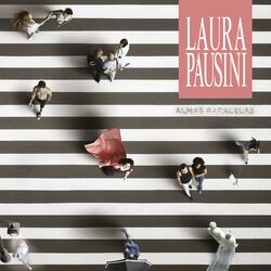 Cover of Almas paralelas
