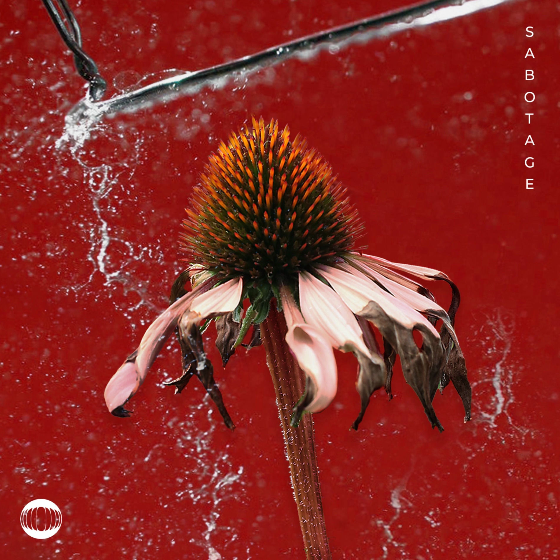 Album cover of Sabotage