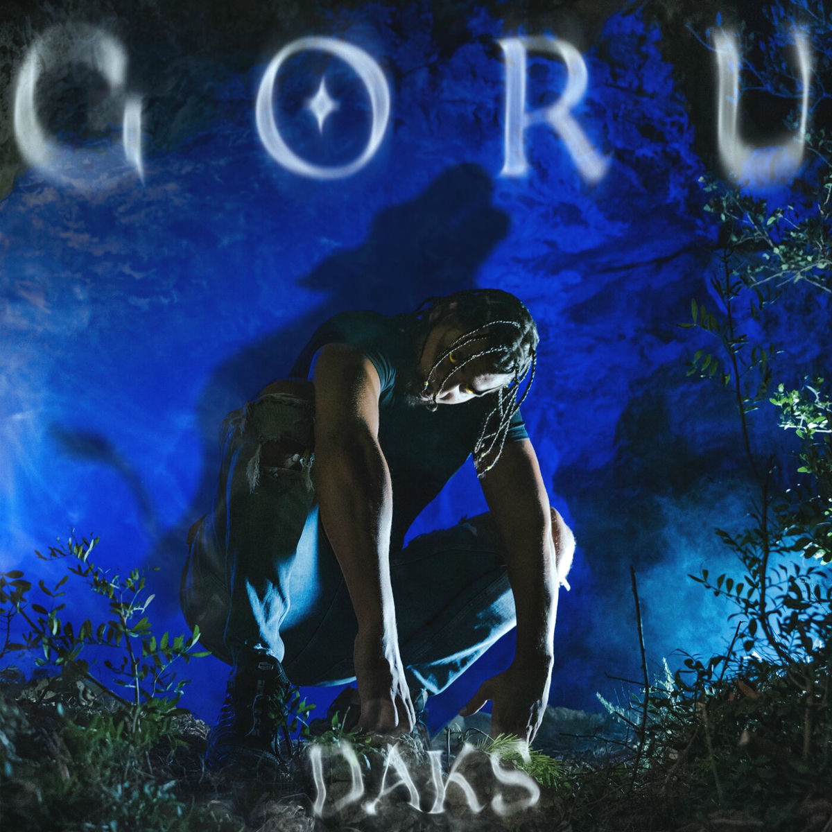 Album cover of GORU