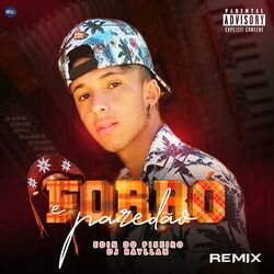 Cover of Forró e Paredão Remix