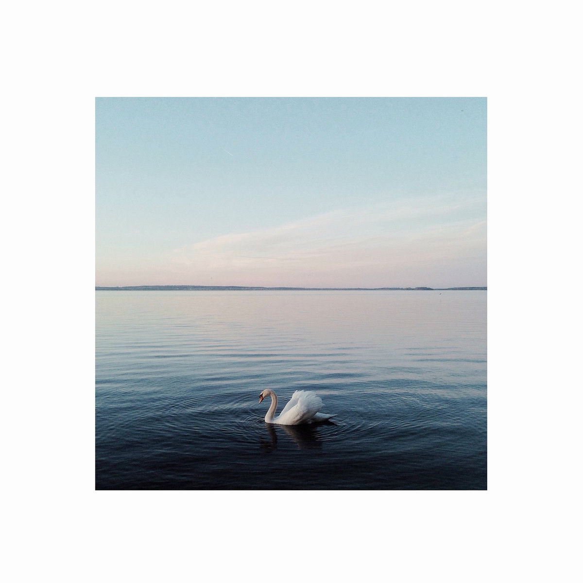 Album cover of Swan Lake
