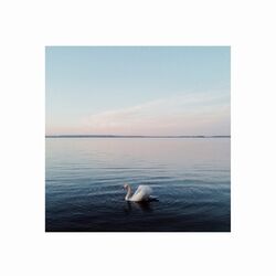 Cover of Swan Lake