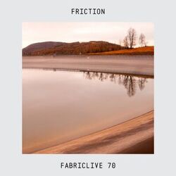Cover of FABRICLIVE 70: Friction (DJ Mix)