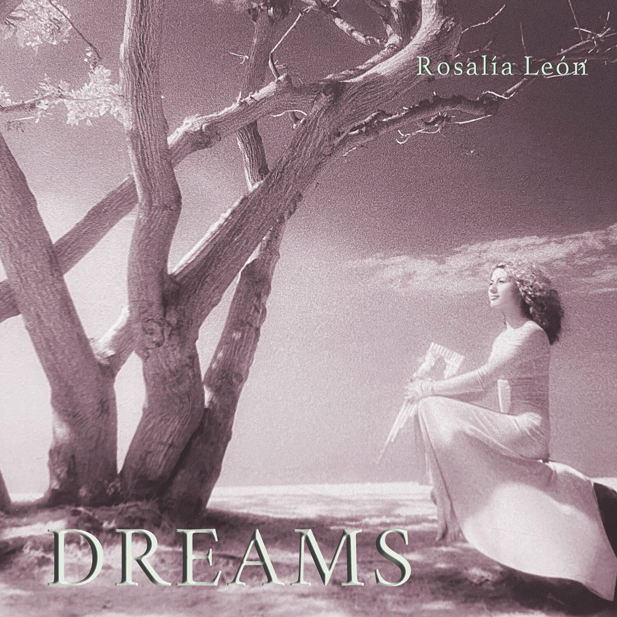 Album cover of Dreams