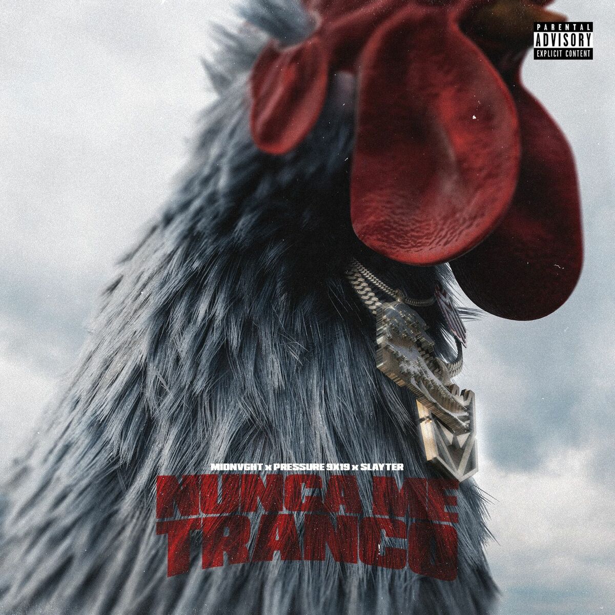 Album cover of Nunca Me Tranco