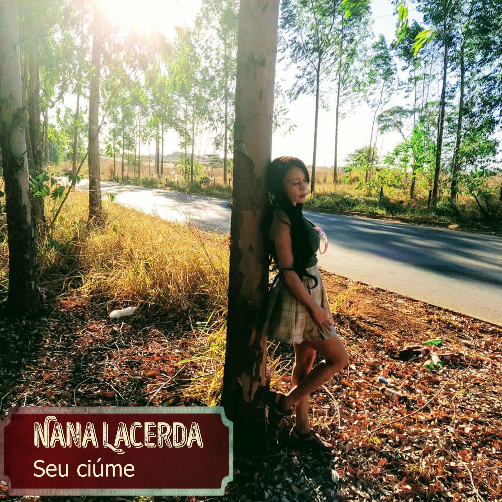 Album cover of Seu Ciúme