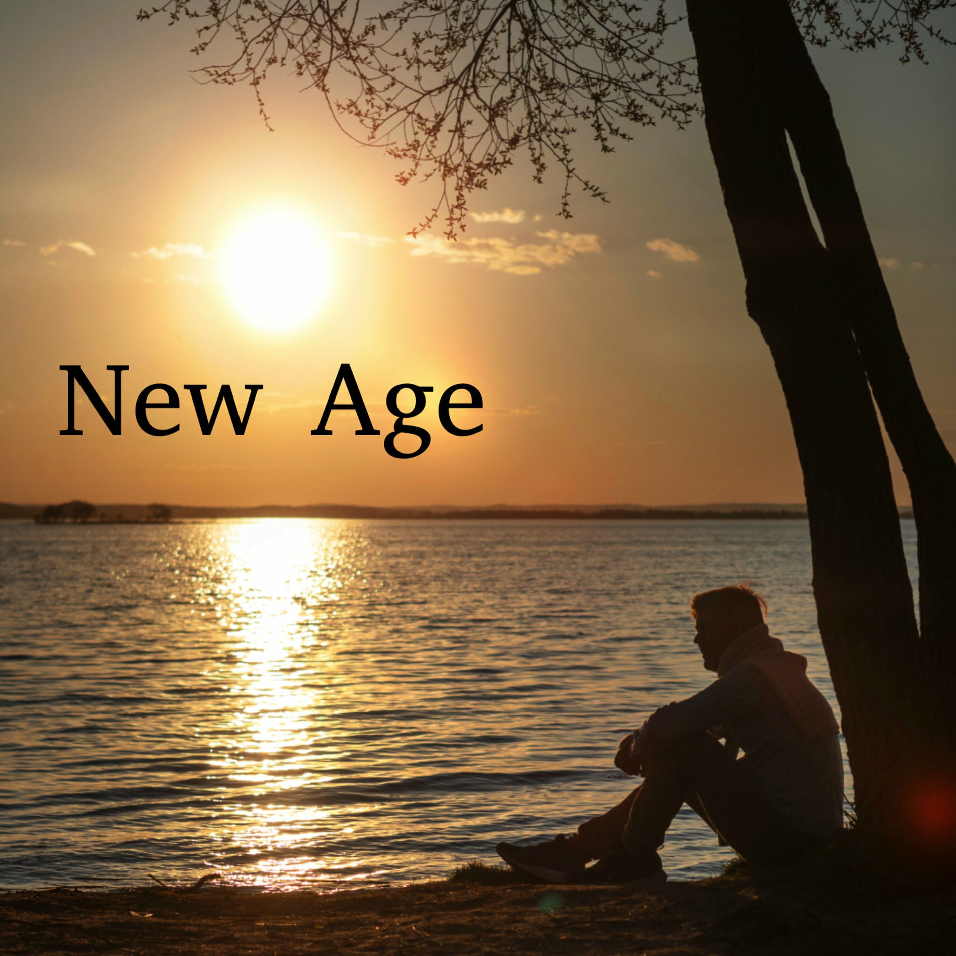 Album cover of New Age