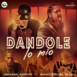 Cover of DANDOLE LO MIO