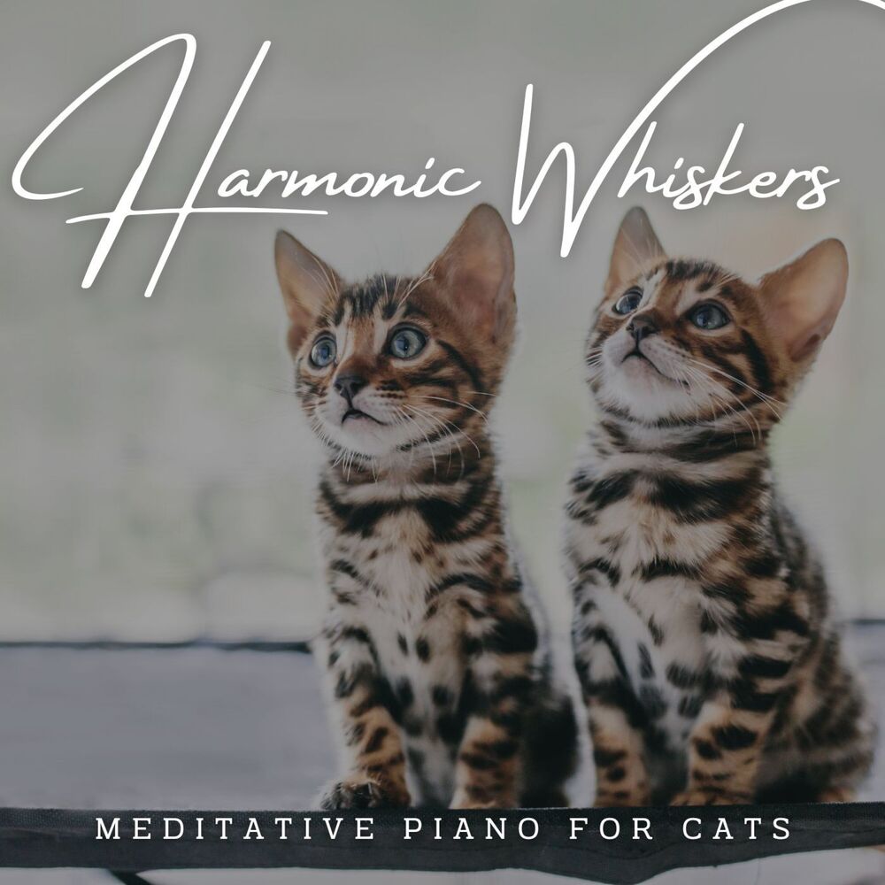 Picture of Harmonic Whiskers: Meditative Piano for Cats