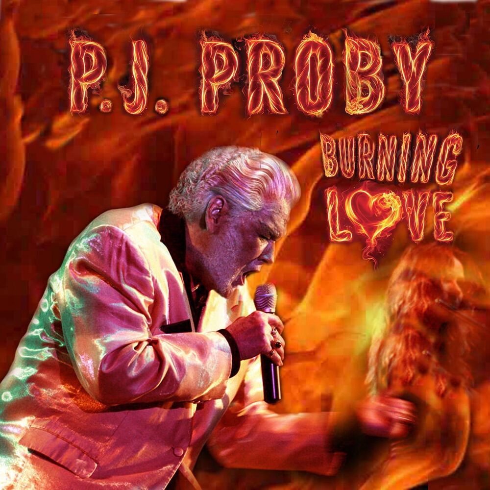 Picture of Burning Love