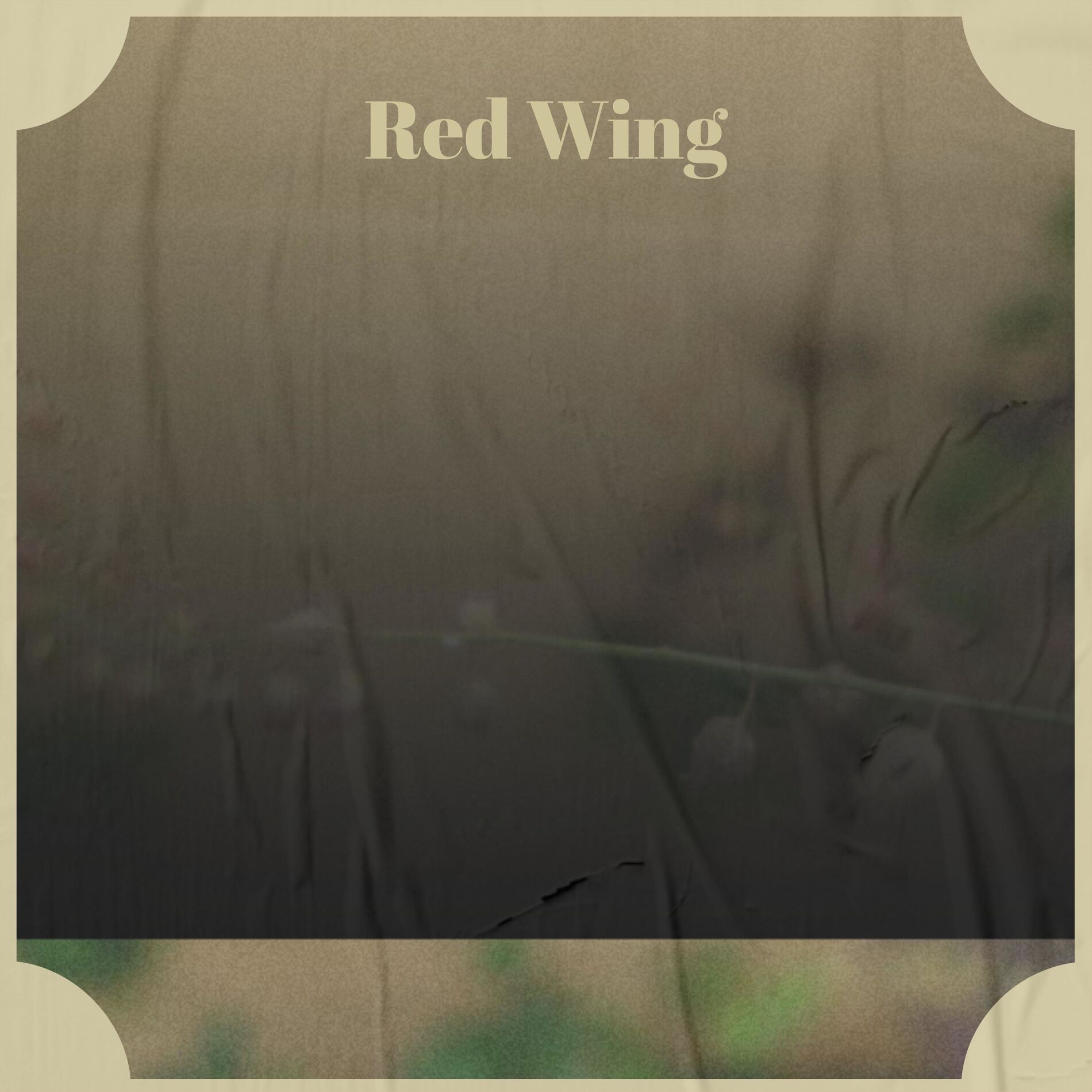 Album cover of Red Wing