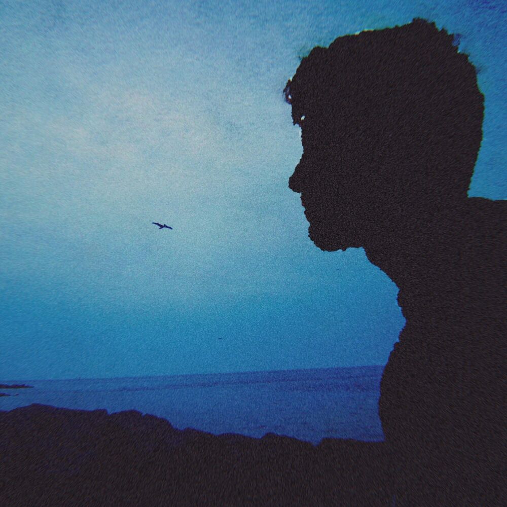 Picture of Blu Daydream