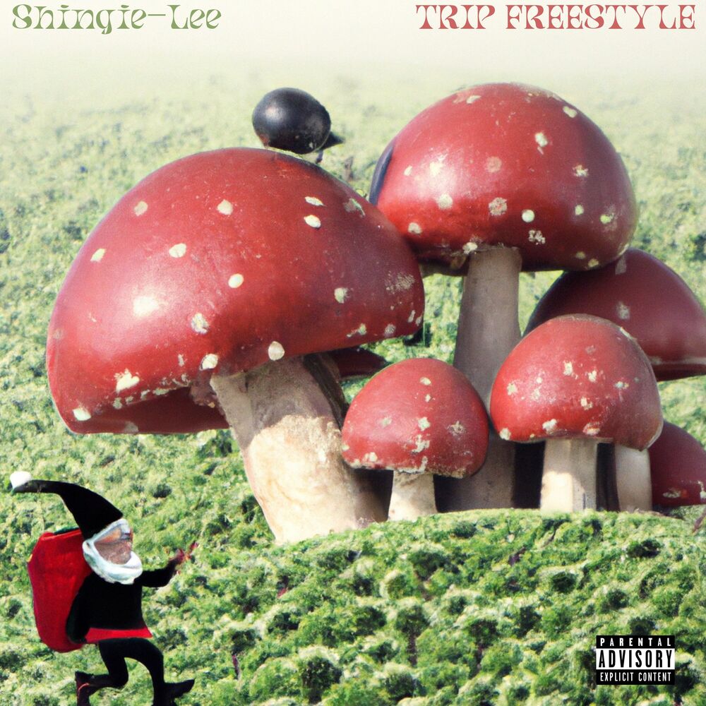 Picture of TRIP FREESTYLE