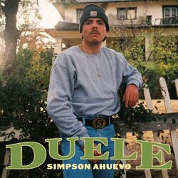 music cover