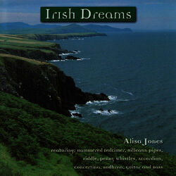 Cover of Irish Dreams