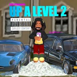 Cover of UP A LEVEL 2
