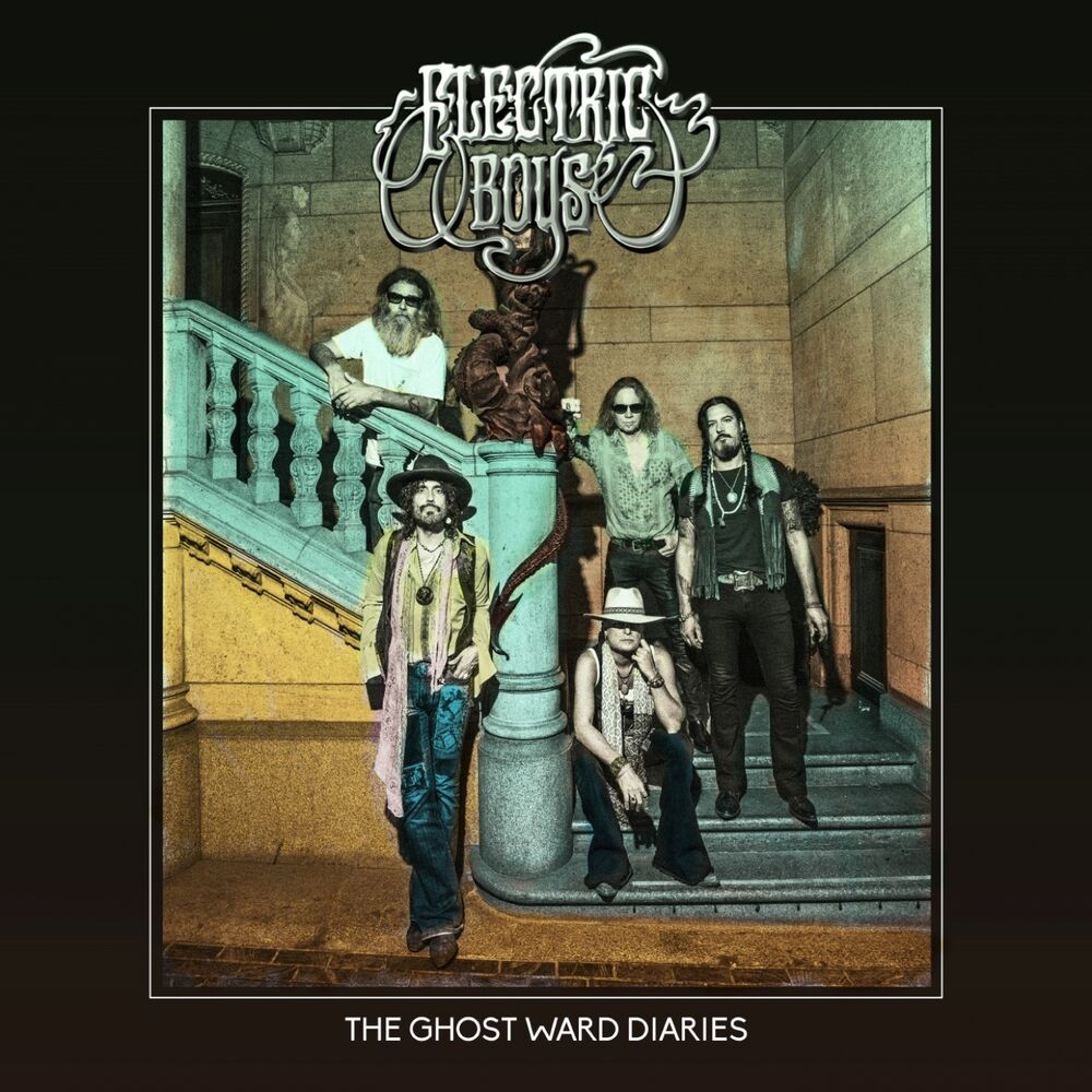 Picture of The Ghost Ward Diaries