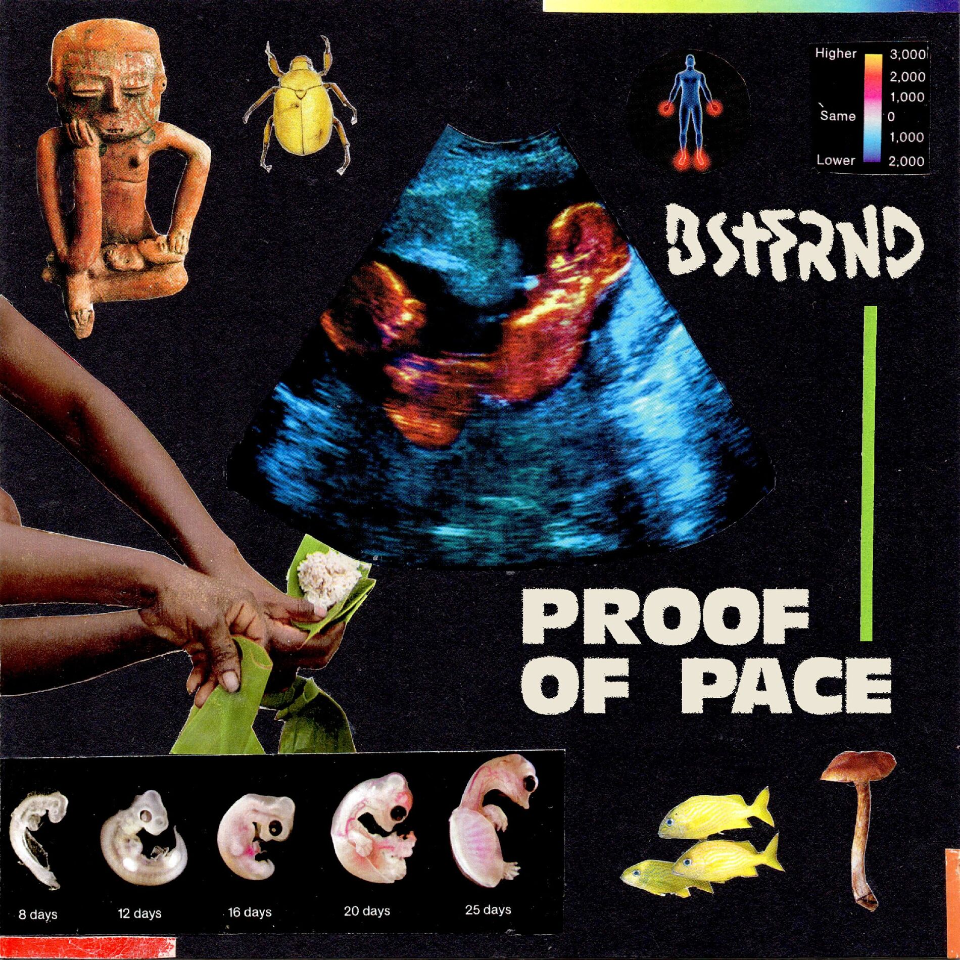 Album cover of Proof of Pace